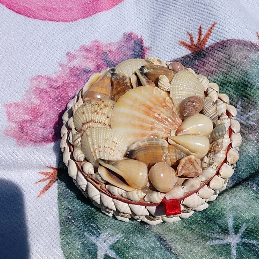 Seashell Jewelry Box - Picture 3 of 6